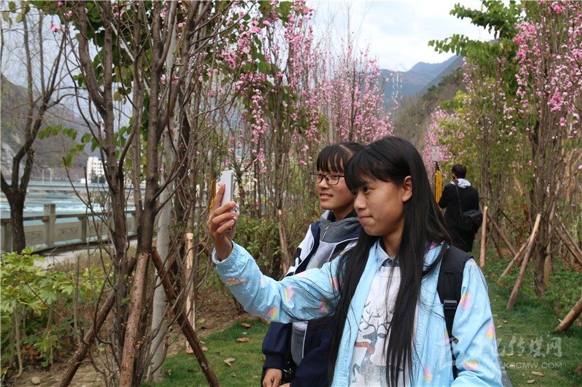 春光俏！“醉”是瀘定春三月，踏青賞花正當(dāng)時