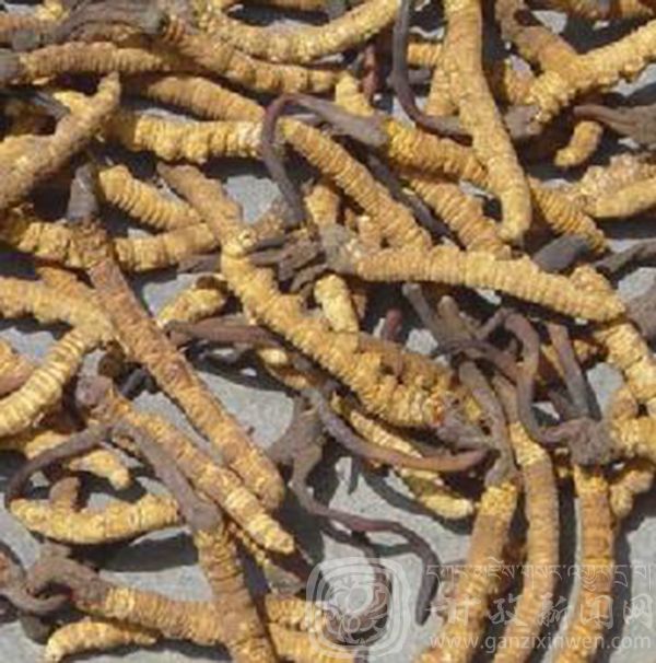 西部太陽谷 得榮原生態(tài)美食 西部太陽谷 得榮原生態(tài)美食