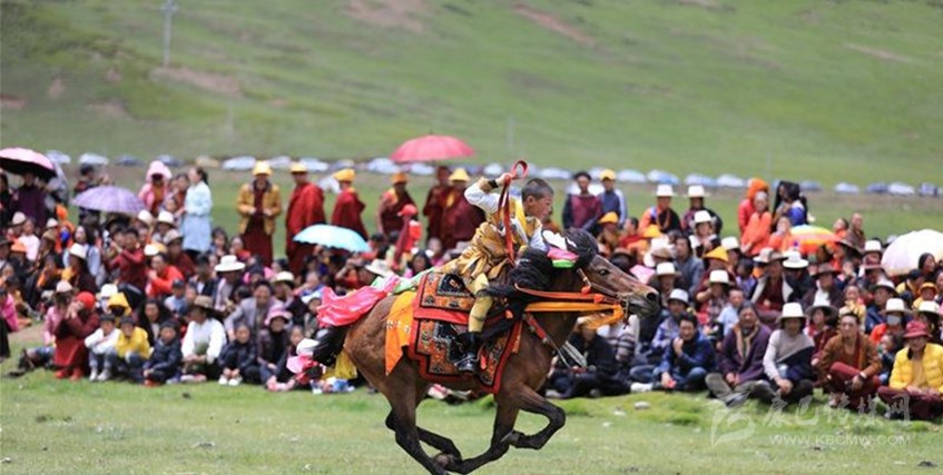 格?；ㄊ㈤_ 牧民馬背上一顯身手