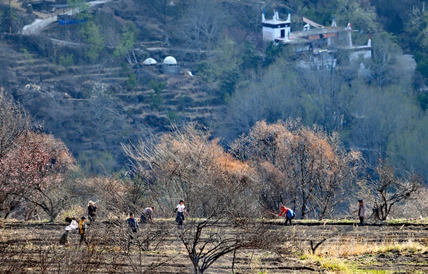 鉚足“?！眲鸥髅? onload=