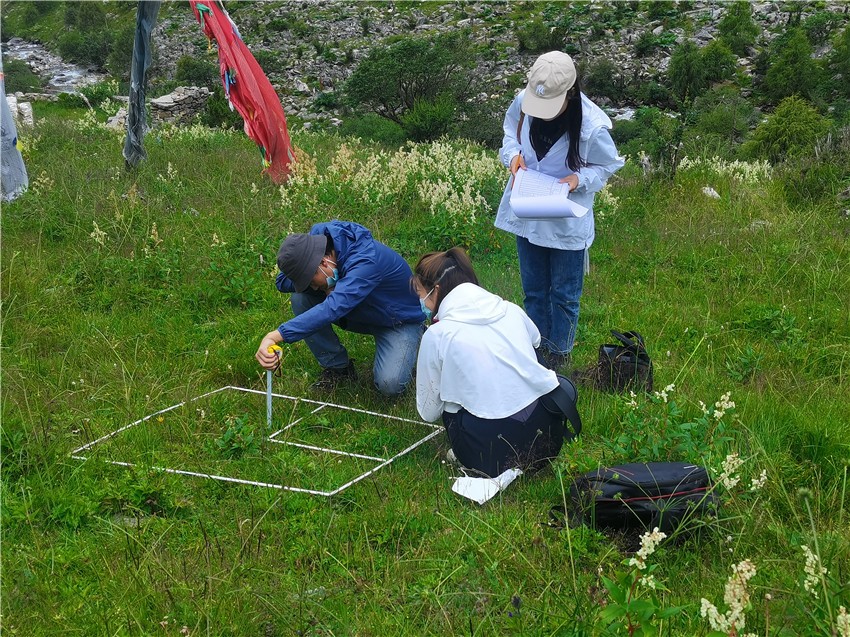 監(jiān)測工作.jpg 監(jiān)測工作.jpg