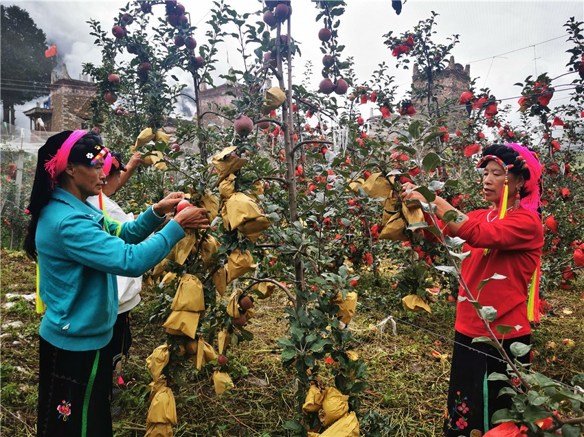 村民在種植.jpg 村民在種植.jpg