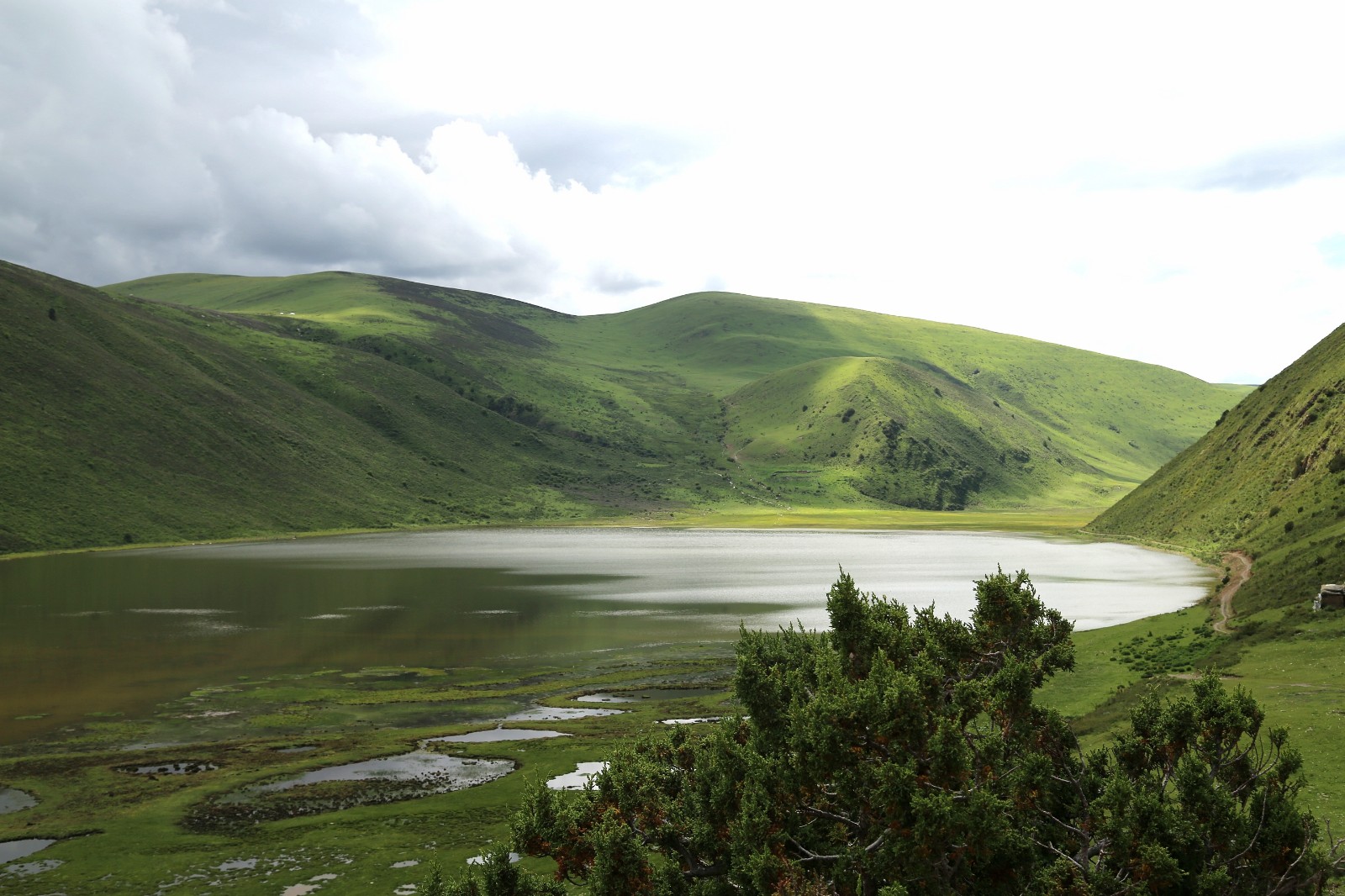 美麗的麥拉.jpg 美麗的麥拉.jpg