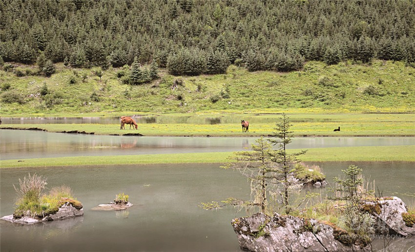 去甘孜 邂逅絕美湖泊海子！