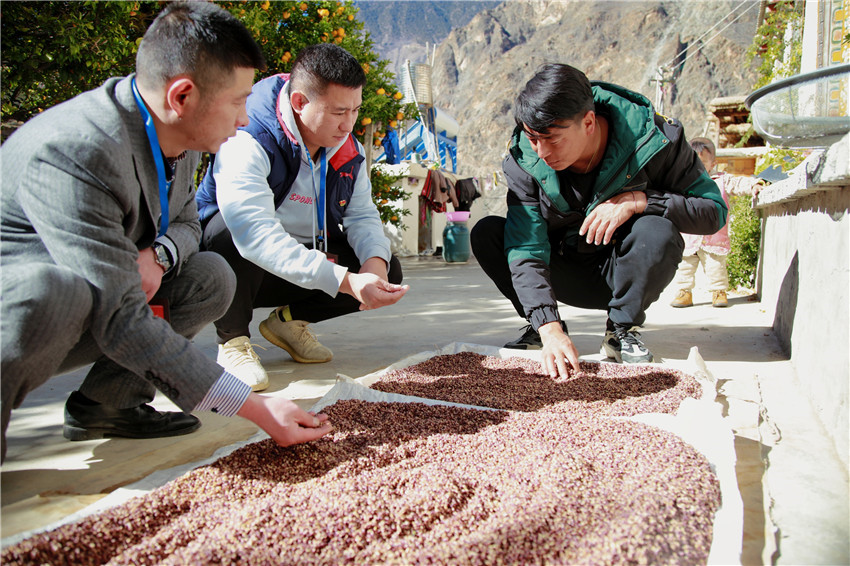 了解產業(yè).jpg 了解產業(yè).jpg