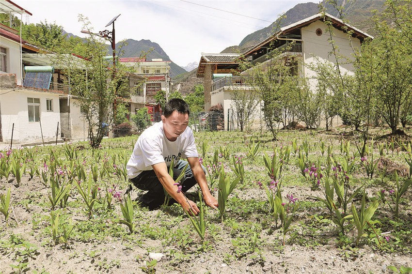 王玉良.jpg 王玉良.jpg