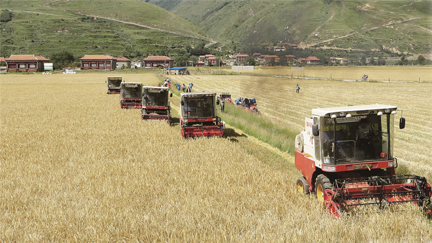 青稞機械.jpg 青稞機械.jpg