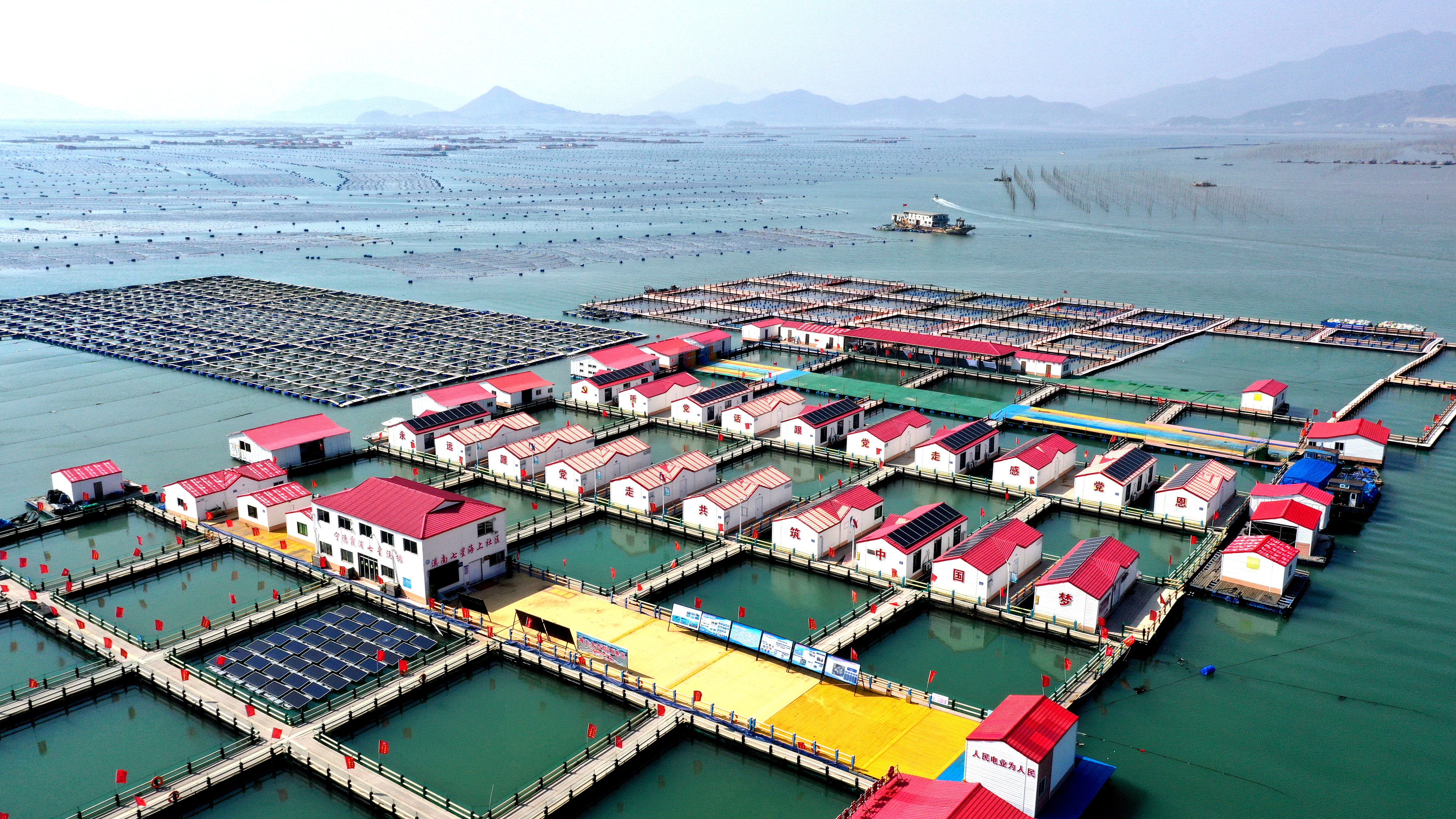 2024年3月20日，福建省寧德市，霞浦縣溪南鎮(zhèn)七星村漁排養(yǎng)殖示范區(qū)，漁民駕駛養(yǎng)殖船進(jìn)行海參養(yǎng)殖作業(yè)。